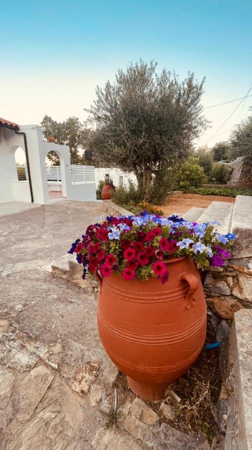 Havania Studio Agios Nikolaos Extérieur photo